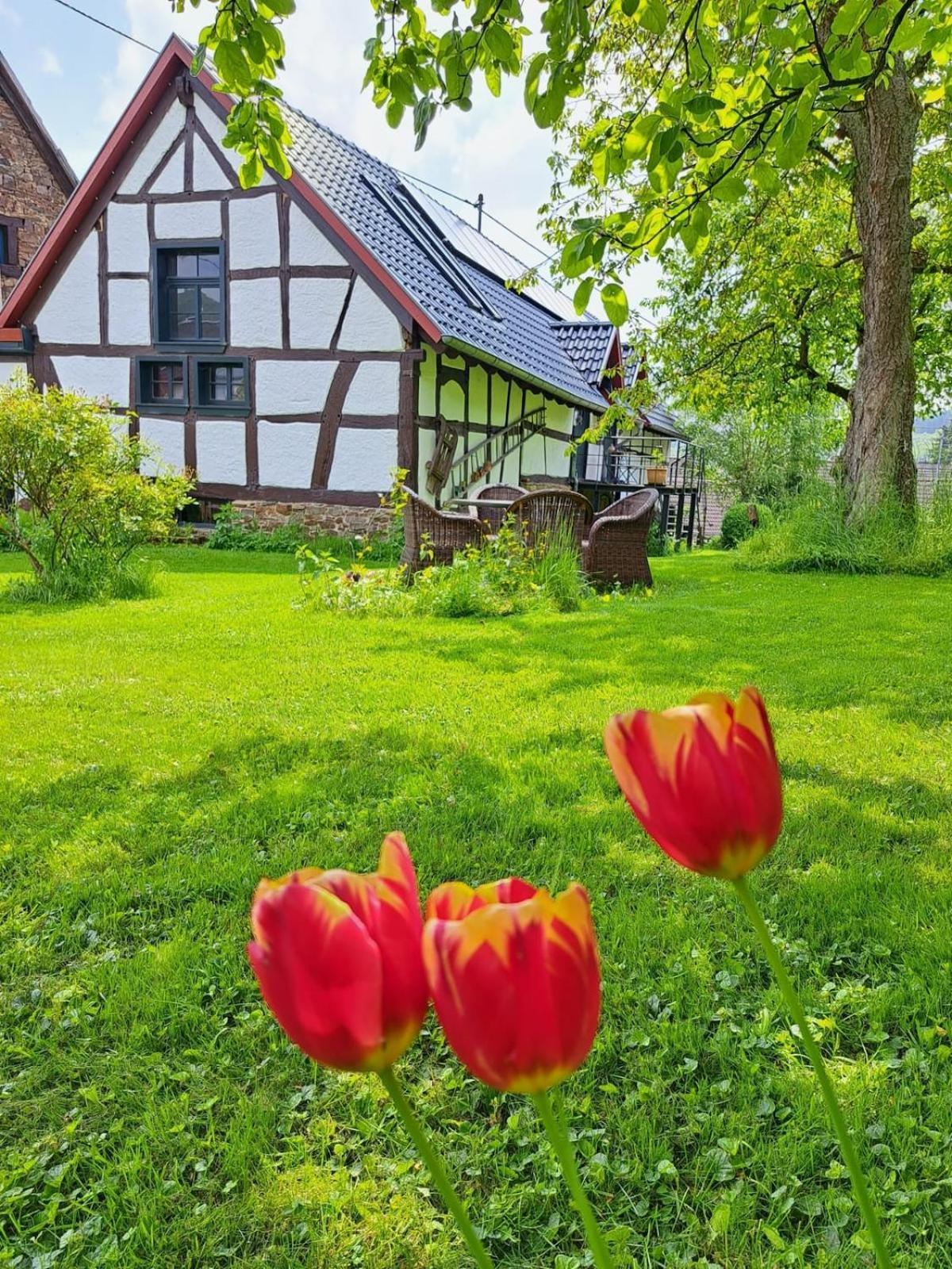 Landhaus Am Aremberg / Eifel Antweiler المظهر الخارجي الصورة